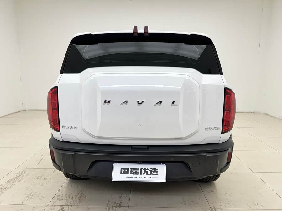 Haval Dargo 2022 car image #6