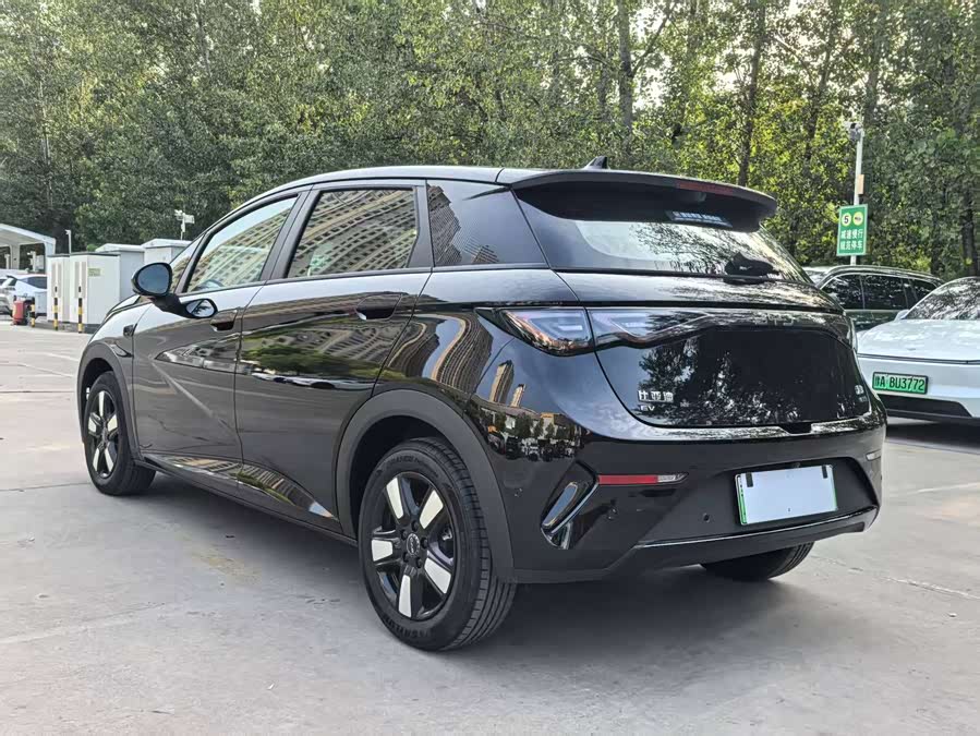 BYD Dolphin 2025 car image #6
