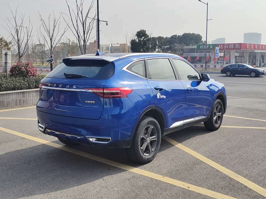 Haval 2019 car image #6