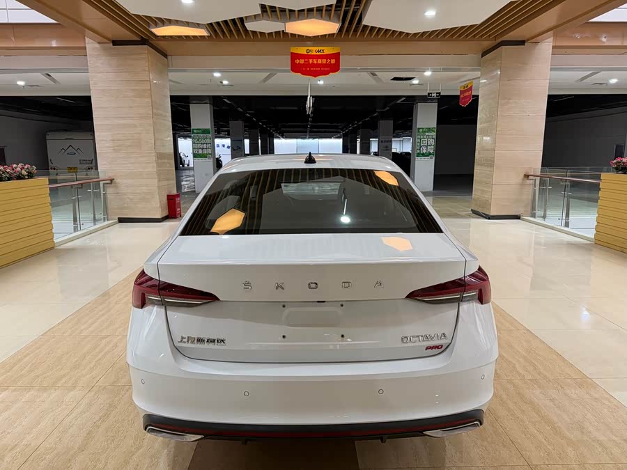 Skoda Octavia 2023 car image #6