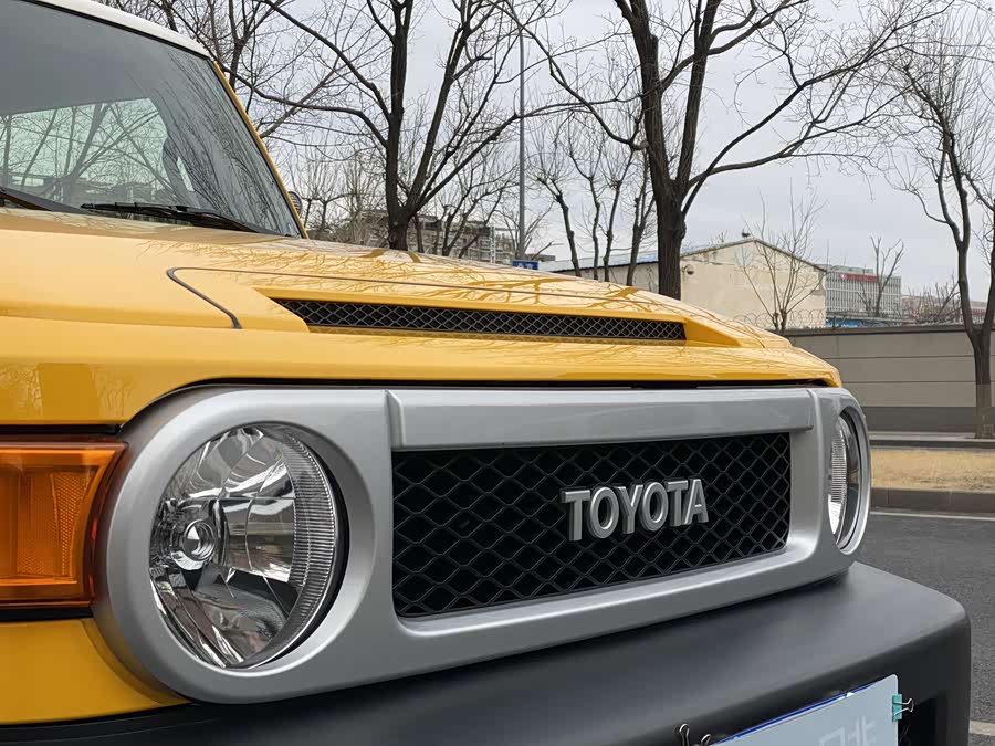 Toyota FJ Cruiser 2019 car image #6