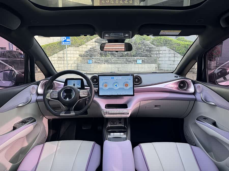 BYD Dolphin 2022 immagine di auto #6