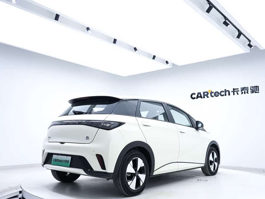 BYD Dolphin 2023 car image #6