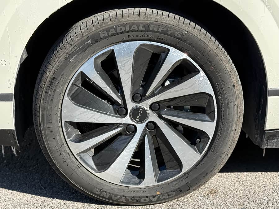 BYD Sea Lion 06 New Energy 2025 car image #6