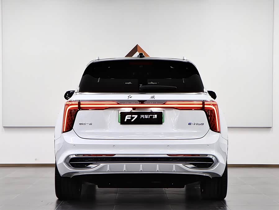 HongQi E-HS9 2023 immagine di auto #6