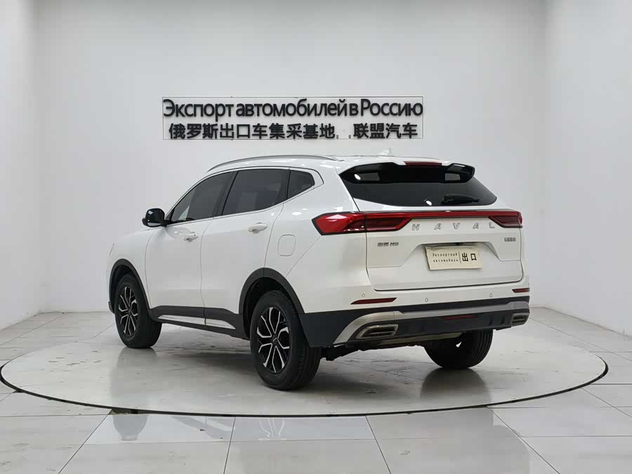Haval H6 2020 car image #6
