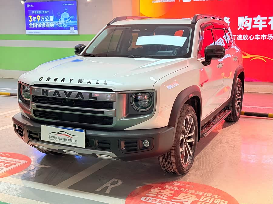 Haval X Dog / Dargo 2024 immagine di auto #6