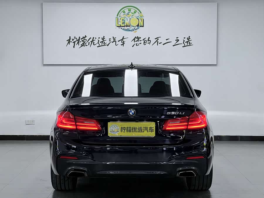 BMW 5 Series 2020 car image #6