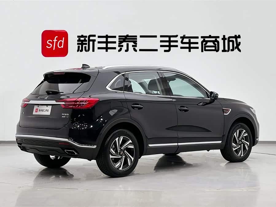 HongQi HS5 2023 immagine di auto #6