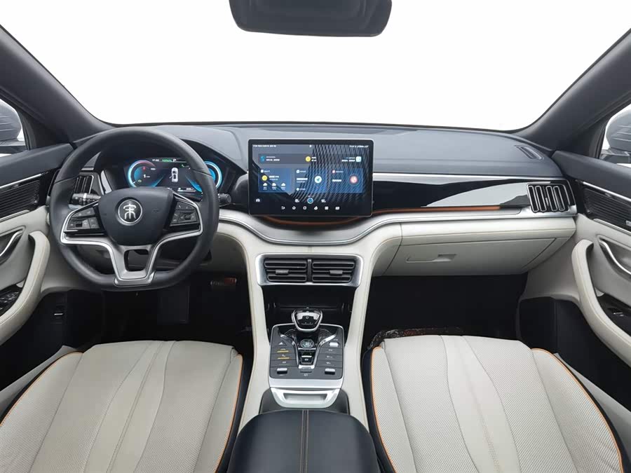BYD Song Plus New Energy 2021 car image #6