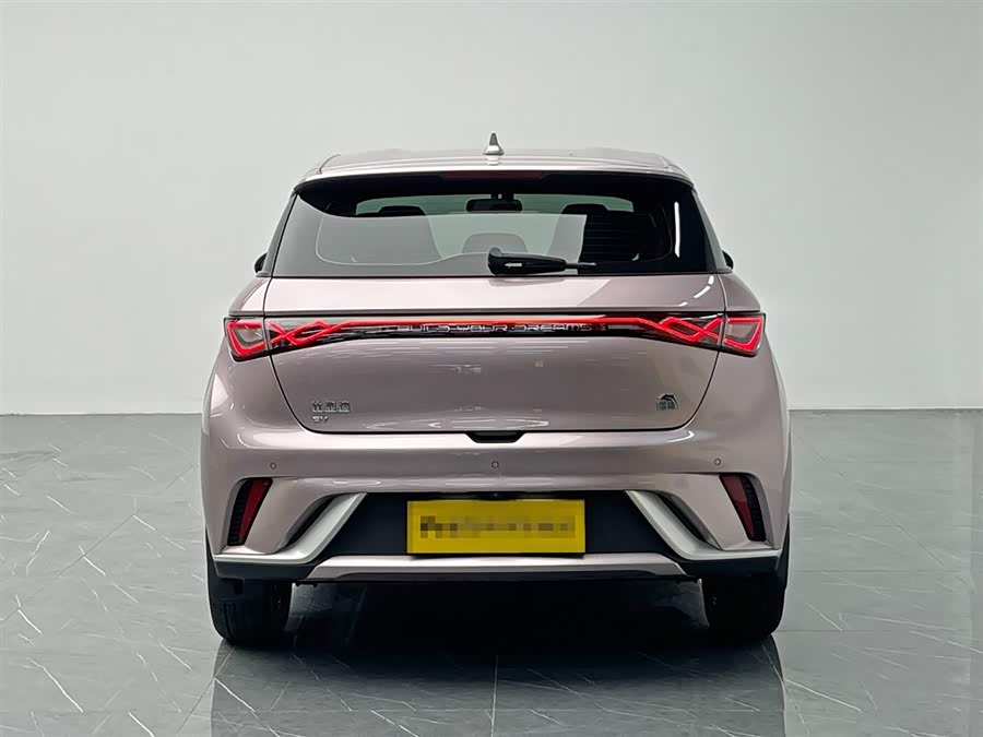 BYD Dolphin 2023 immagine di auto #6