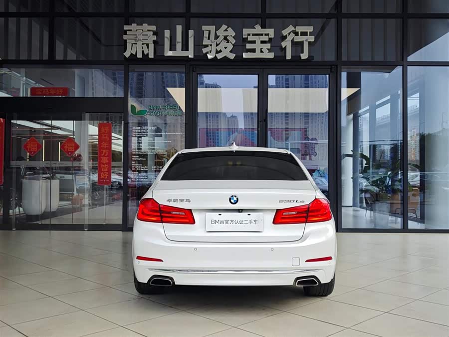 BMW 5 Series New Energy 2019 car image #6