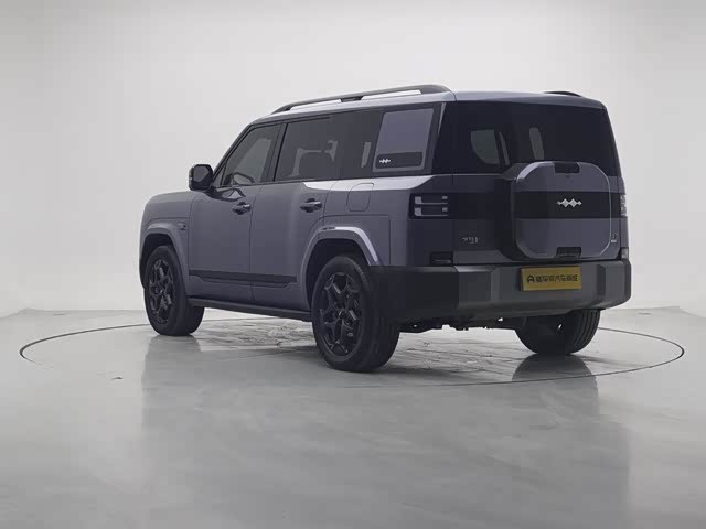 FangChengBao Tiger 7 2025 car image #6