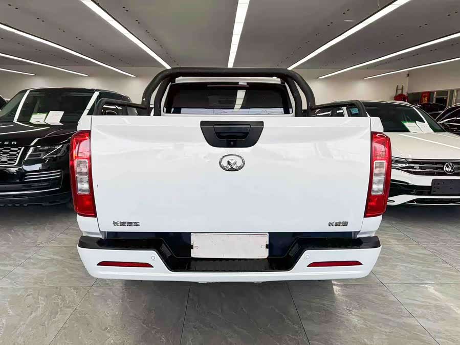 Great Wall Poer 2022 car image #6