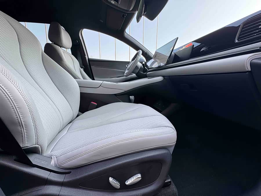 BYD Sea Lion 06 New Energy 2025 car image #6