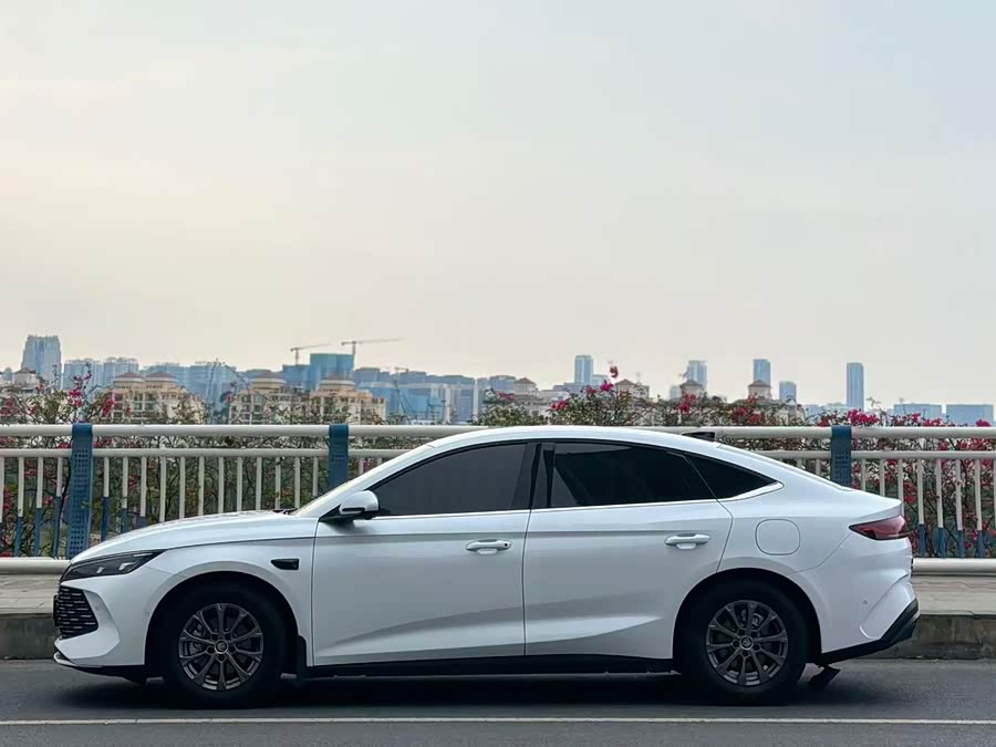 BYD Qin L 2025 immagine di auto #6