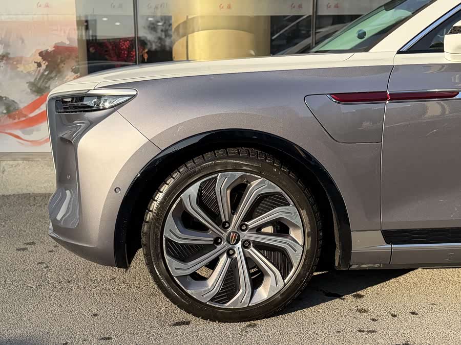 HongQi E-HS9 2022 imagen de coche #6