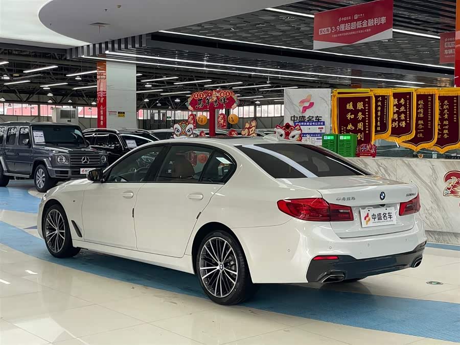 BMW 5 Series 2019 car image #6