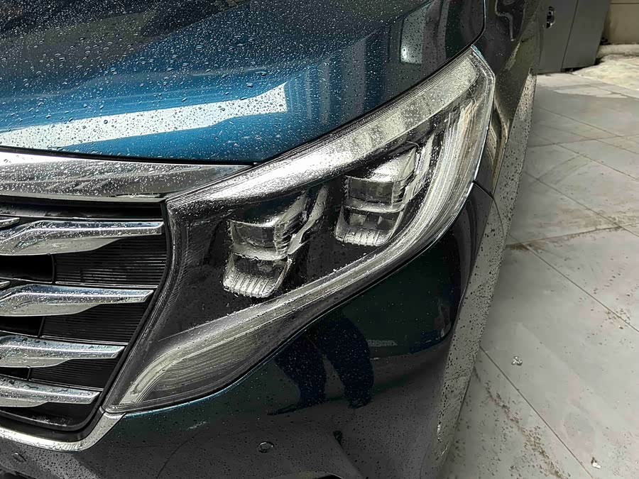 GAC Trumpchi M8 2019 car image #6