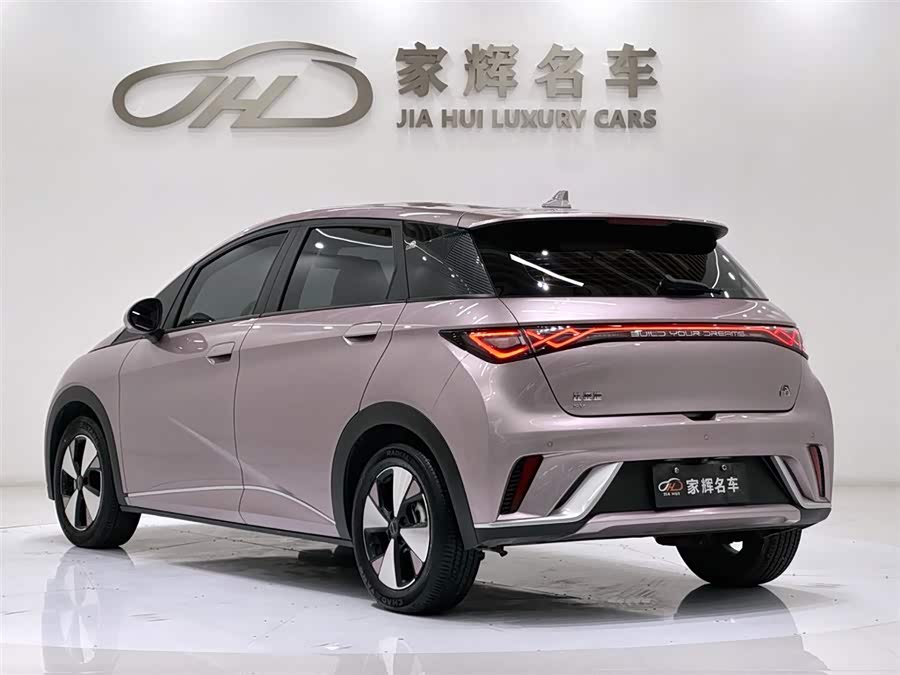 BYD Dolphin 2024 imagem de carro #6