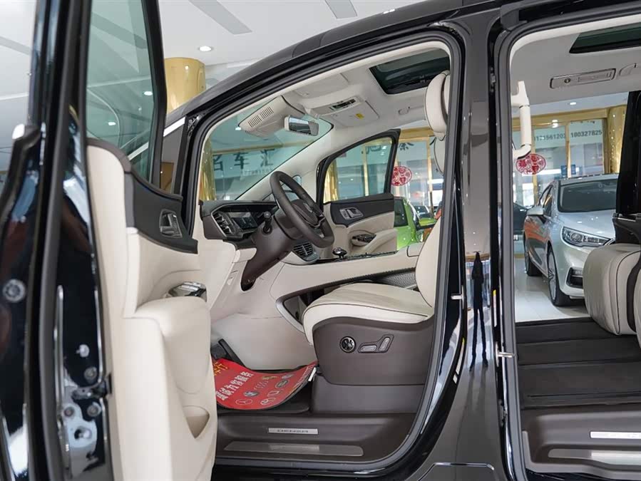 Denza D9 2024 imagem de carro #6