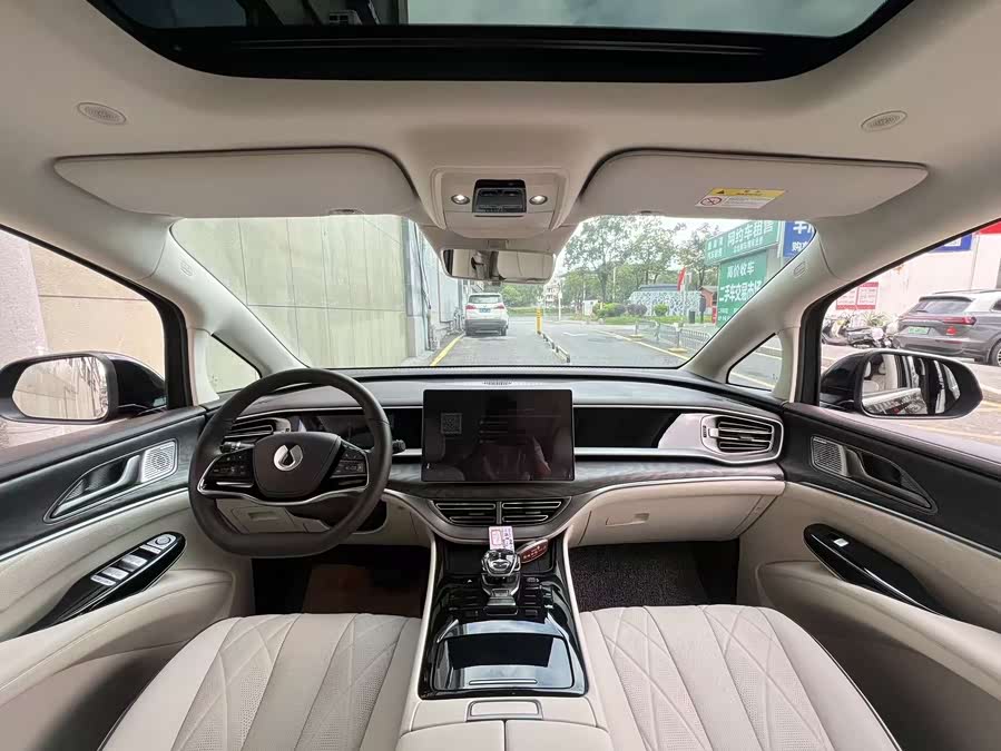 Denza D9 2024 car image #6