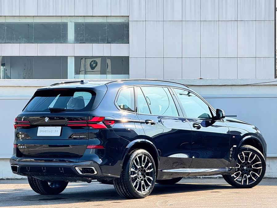 BMW X5 imagen de coche #6