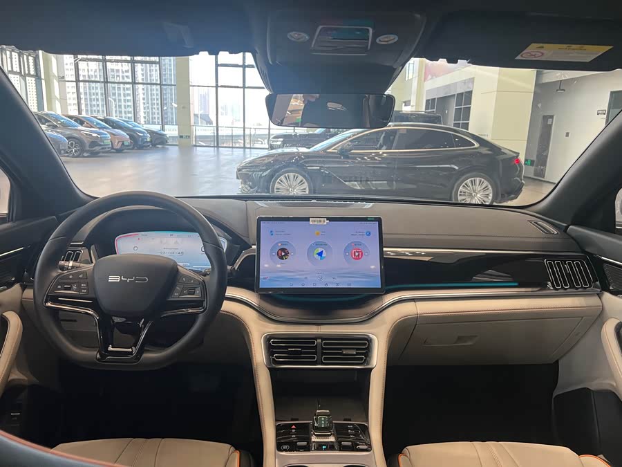BYD Song Plus New Energy 2024 car image #6