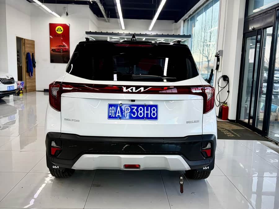 Kia Seltos 2023 imagen de coche #6