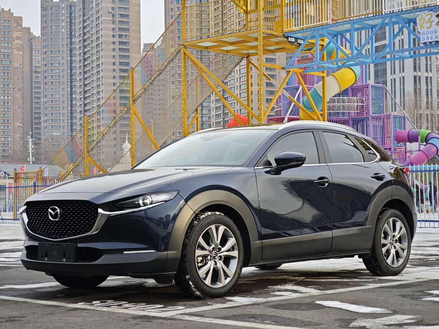 Mazda CX-30 2022 car image #6