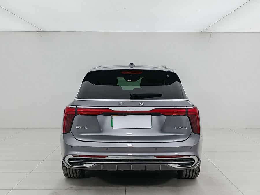 HongQi E-HS9 2023 car image #6