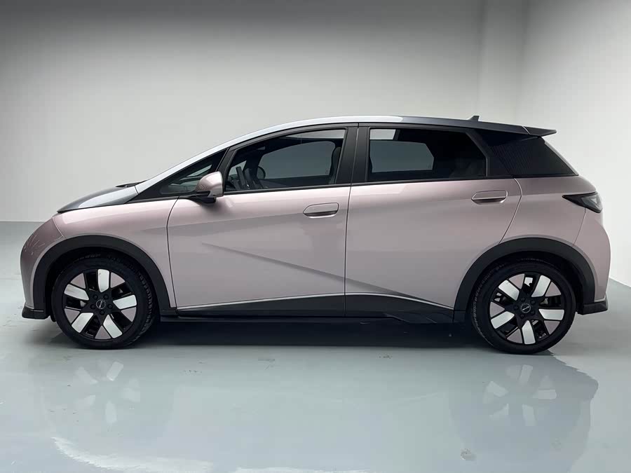 BYD Dolphin 2022 صورة سيارة #6