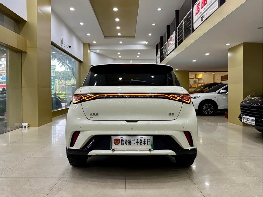 BYD Dolphin 2024 imagem de carro #6