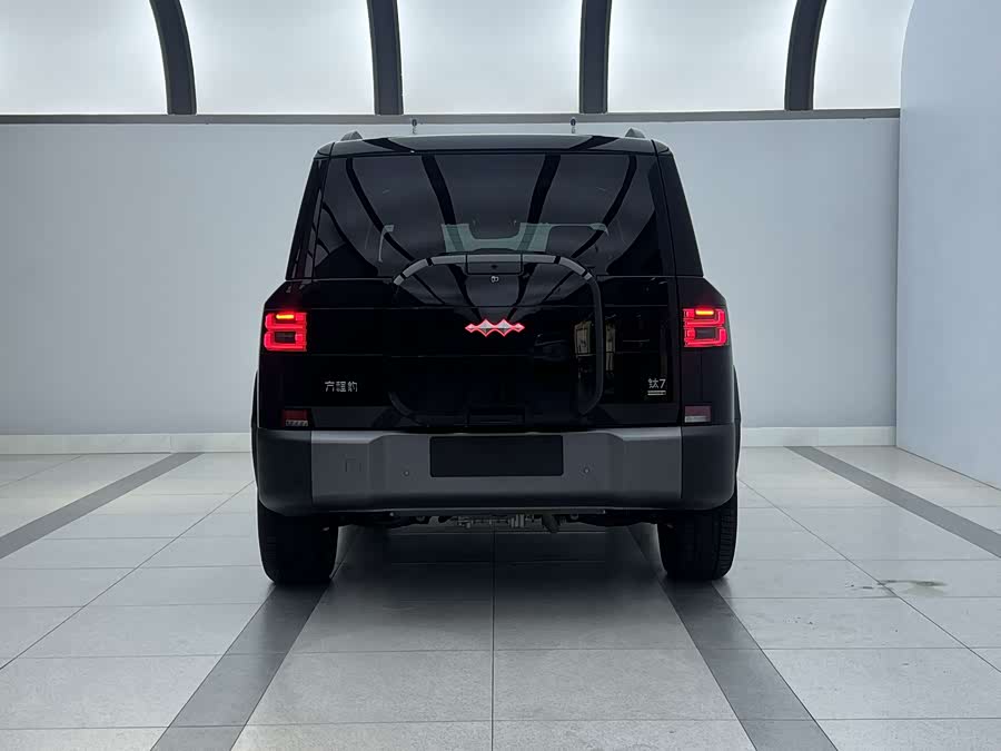 FangChengBao Tiger 7 2025 car image #6