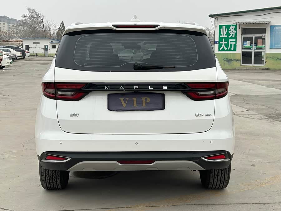睿蓝汽车 枫叶80v PRO 2024 汽车图片 #6