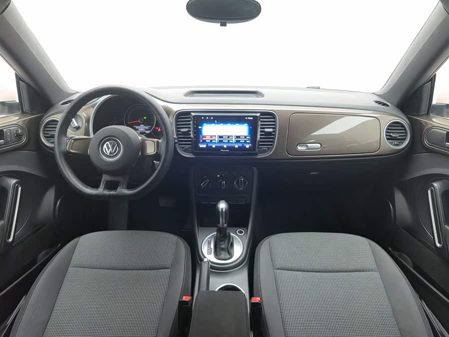 Volkswagen Beetle 2014 immagine di auto #6