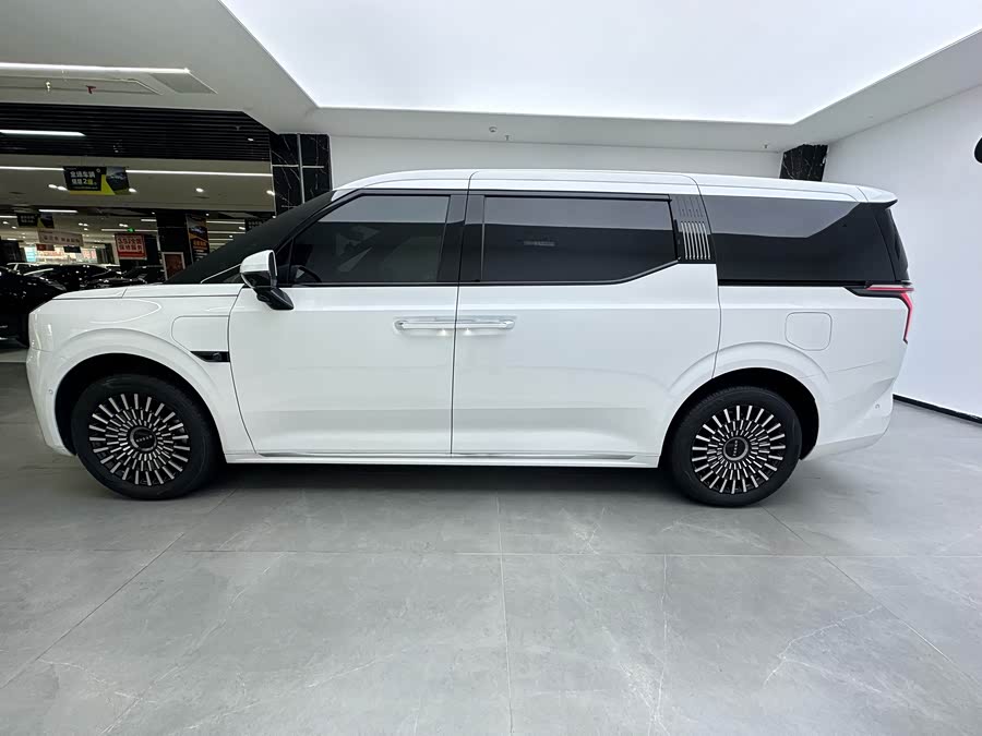 极氪 极氪009 2024 汽车图片 #6