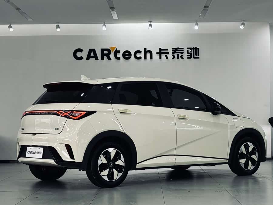 BYD Dolphin 2024 imagem de carro #6
