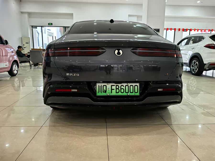 Denza Z9 2024 car image #6