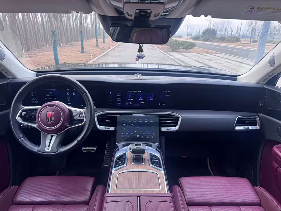 HongQi E-HS9 2021 immagine di auto #6