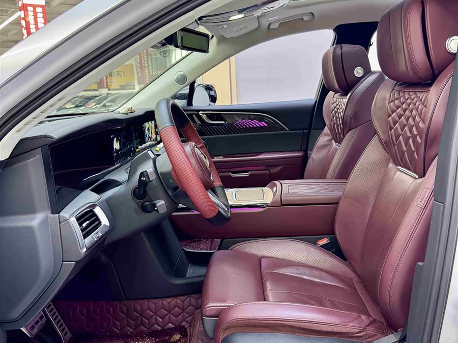 HongQi E-HS9 2021 image de voiture #6