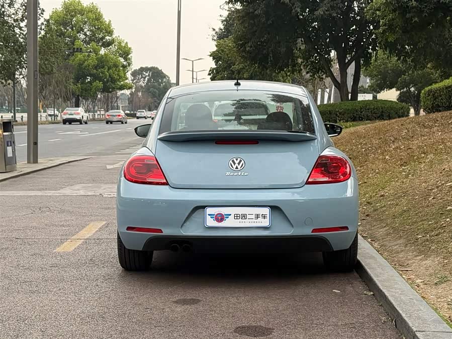 Volkswagen Beetle 2014 immagine di auto #6