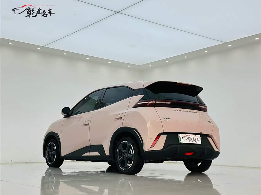 BYD Seagull 2024 car image #6