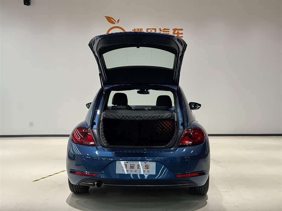 Volkswagen Beetle 2020 immagine di auto #6