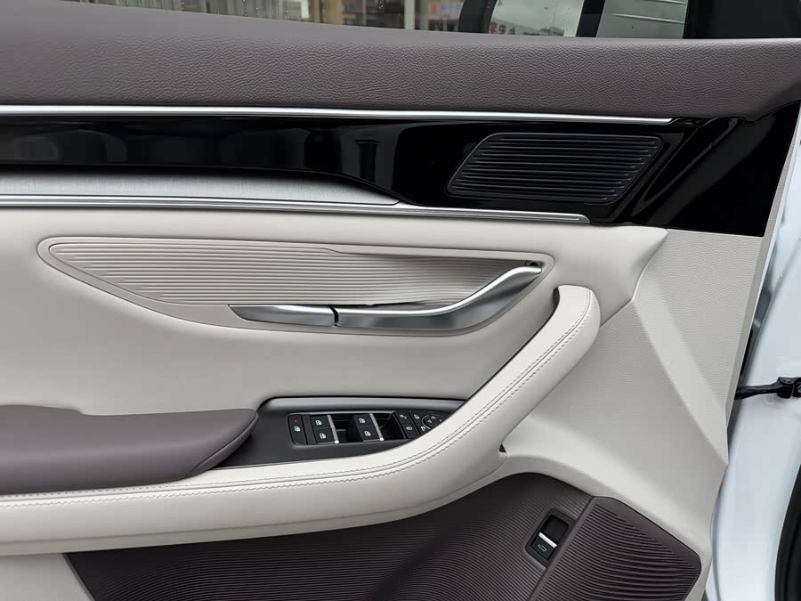 BYD Song Plus New Energy 2025 car image #6