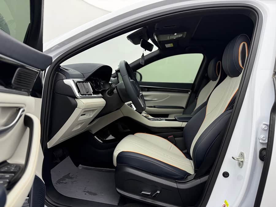 BYD Song Plus New Energy 2022 immagine di auto #6