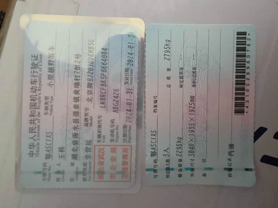 Beijing 2023 immagine di auto #6