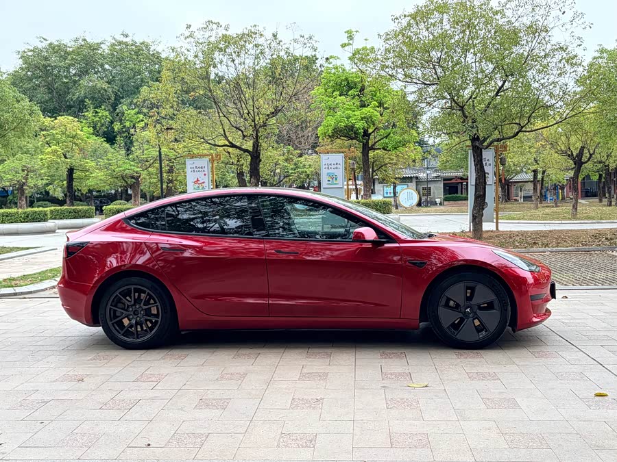 Tesla Model 3 2023 immagine di auto #6