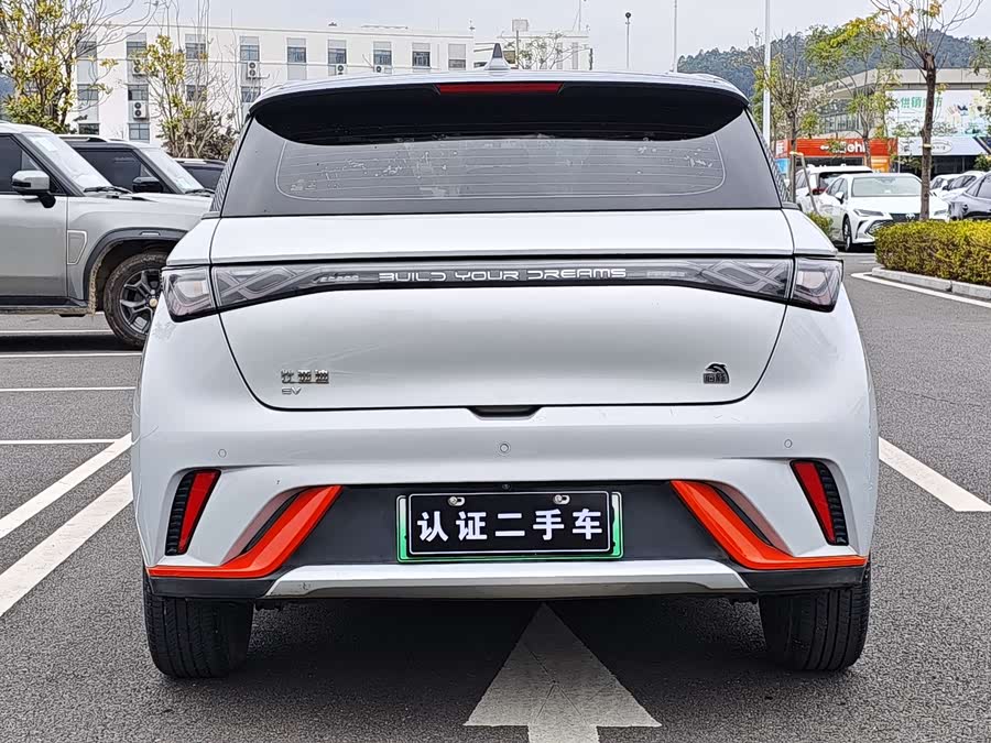 BYD Dolphin 2021 imagen de coche #6