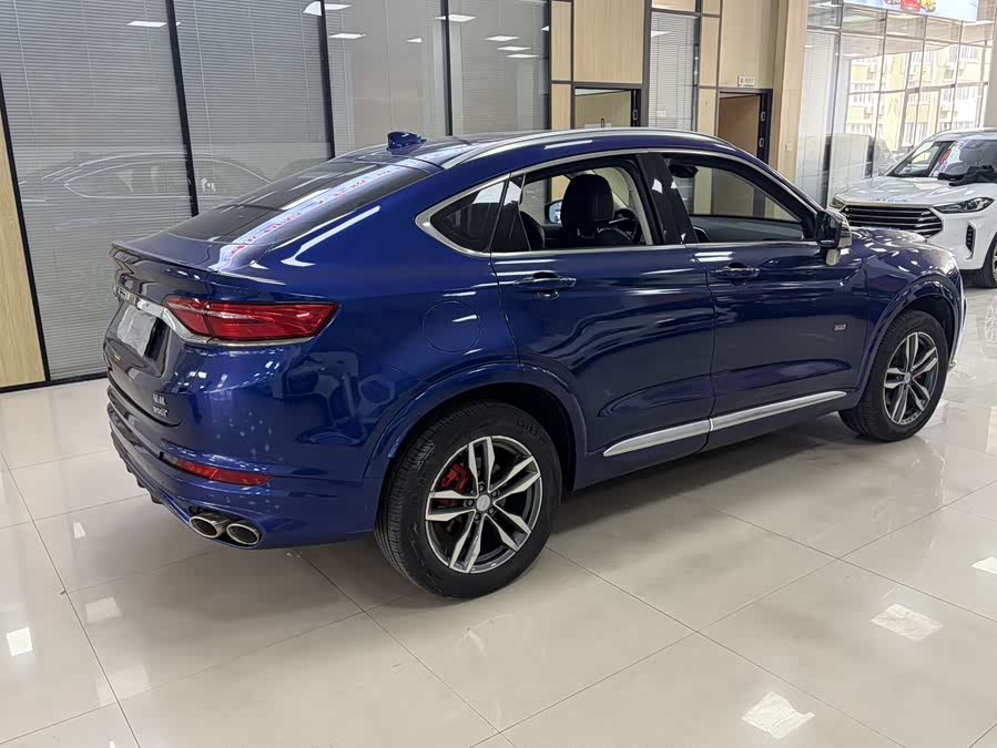 GEELY Tugella 2019 car image #6